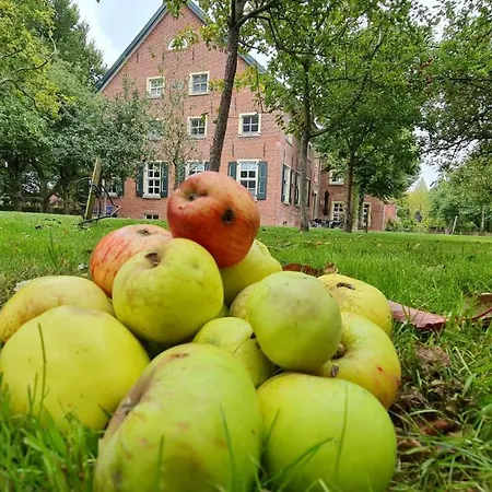 Gulfhof Boomgaarden 3 Geertje Apartmán Krummhörn