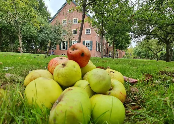 Gulfhof Boomgaarden 3 Boomgaarden 3 Geertje Lejlighed Krummhörn